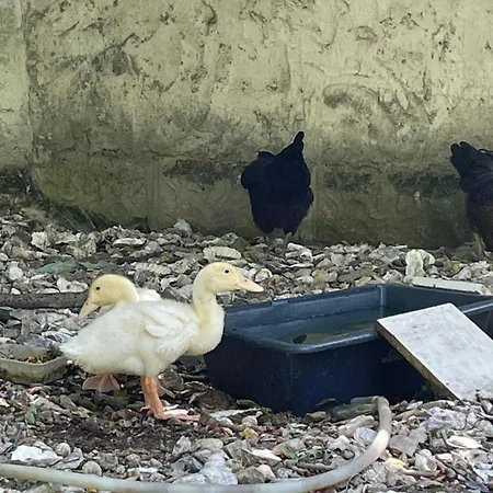 Le 55 Maison Familiale Marsais